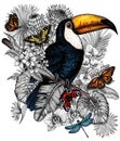 Vector illustration of a toucan bird in a tropical garden Royalty Free Stock Photo